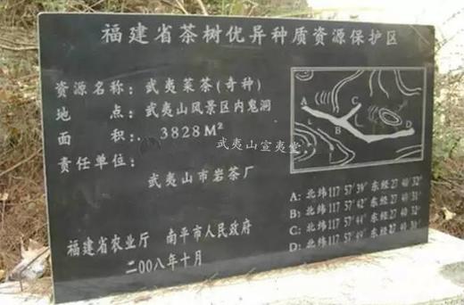 鬼洞铁罗汉 商品图0