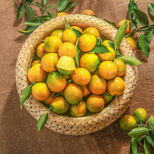 桐鲜生第七季--融安滑皮金桔/脆蜜金柑，水润皮脆，纯甜不酸，阳光般的味道 商品图3