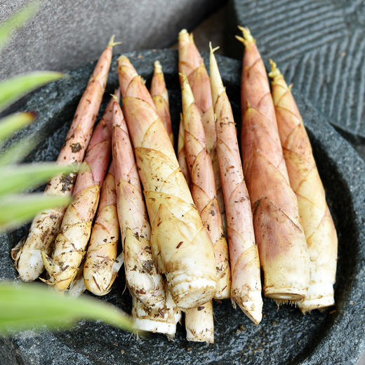 临安天目山春笋 | 春季限定美味 正宗原产地现挖现发 皮薄肉厚鲜嫩美味 精挑细选去除老根 煲汤炒菜皆成美味 商品图7