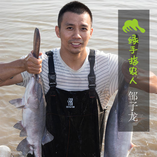 生态鸭嘴鱼 | 绿家自产*Eco-Duckbill fish | Self-production 商品图0
