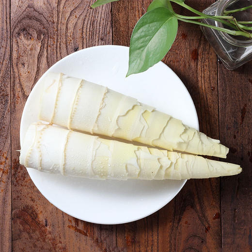 头茬天目山春笋 4斤装 商品图2