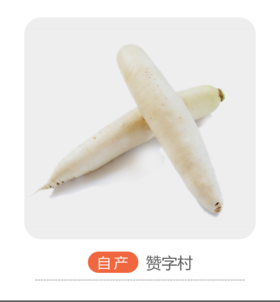 赞字村白萝卜（±50g/份）