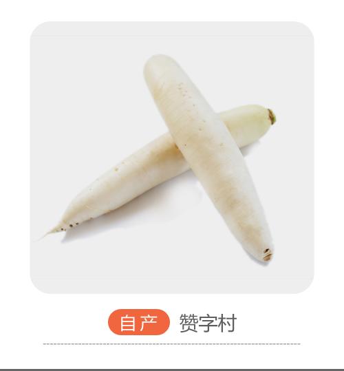赞字村白萝卜（±50g/份） 商品图0