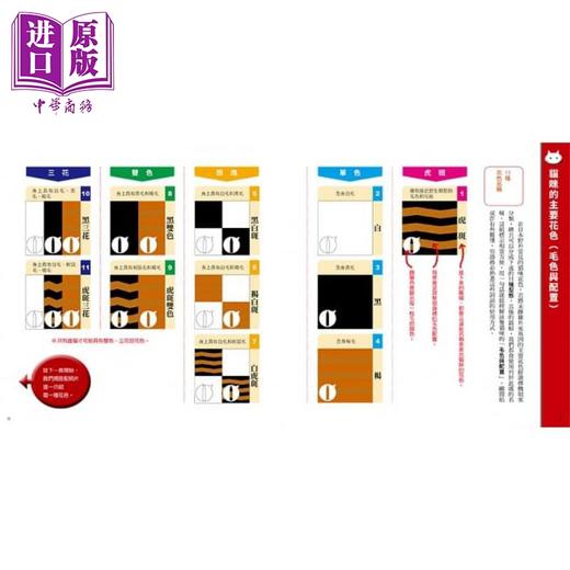 【中商原版】猫咪花色图鉴 看懂超有趣的猫咪遗传学 港台原版 浅羽宏 台湾东贩 商品图2