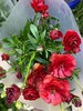 配花-蝴蝶洋牡丹-红色--5支 商品缩略图2