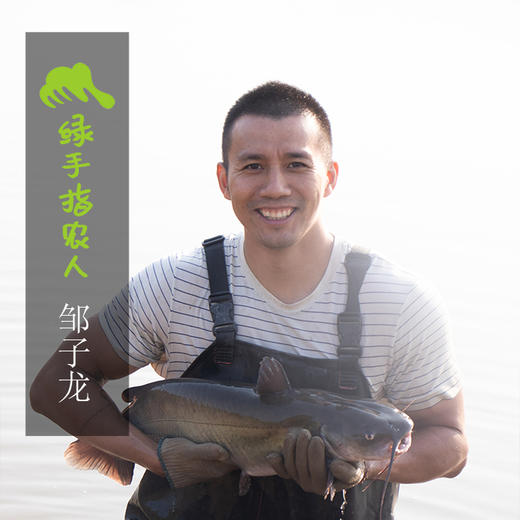 生态鮰鱼 | 绿家自产*Eco- longsnout catfish | Self-production 商品图1
