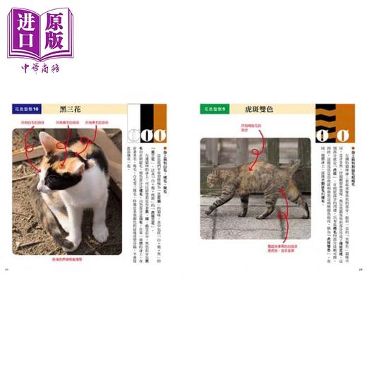 【中商原版】猫咪花色图鉴 看懂超有趣的猫咪遗传学 港台原版 浅羽宏 台湾东贩 商品图4