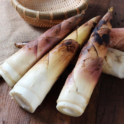 头茬天目山春笋 4斤装 商品图3