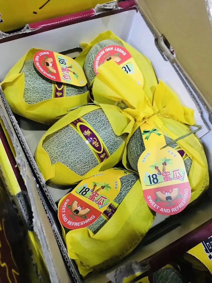 助农价78元14斤海南小蜜哈密瓜14斤瓜中之王海南直采每天一个哈密瓜