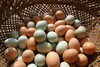 鸡蛋（10枚/斤）---净田社山林自由放养 商品缩略图0