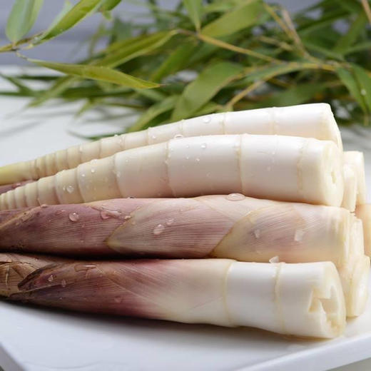 头茬天目山春笋 4斤装 商品图0