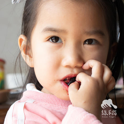 生态桑葚（酸甜，预售，按下单顺序发货，下雨停发） | 绿家自产*Eco-mulberry | Self-production 商品图4