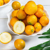 桐鲜生第七季--融安滑皮金桔/脆蜜金柑，水润皮脆，纯甜不酸，阳光般的味道 商品缩略图1