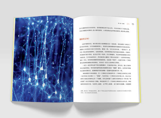 《BBC人体如何工作：照顾好你的身体》 商品图7