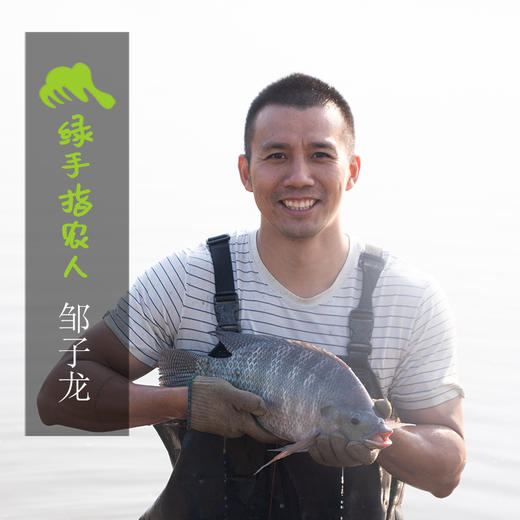 生态鲳鱼 （冷鲜，仅限省内下单）| 绿家自产 * Ecological pomfret | Self-production 商品图1