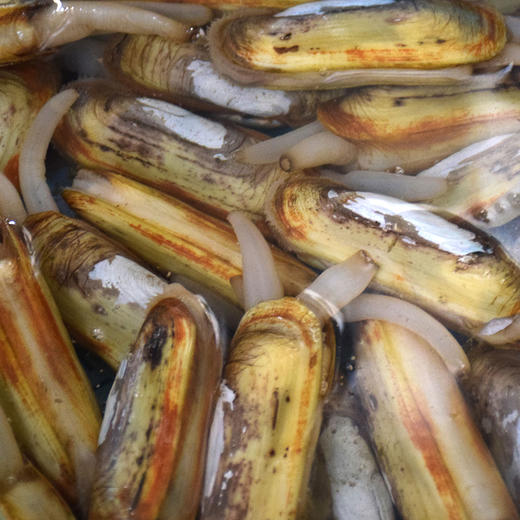 沿海滩涂的鲜味带泥干蛏子 烹饪后不缩水的肥美 商品图2