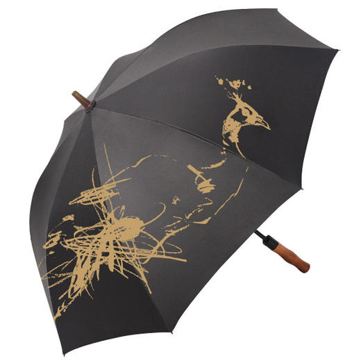 孔雀蜕变印花直柄 商品图0