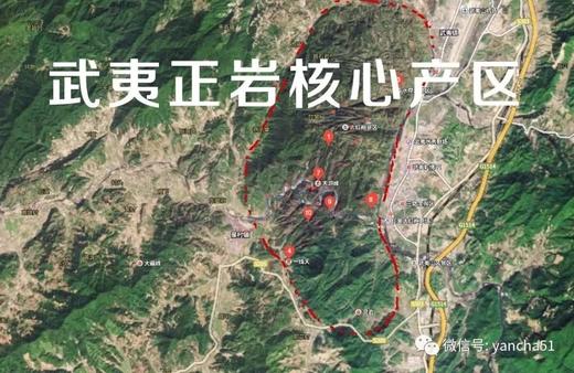 认识武夷岩茶的“山场魅力”，辨析坑涧茶与岗上茶有何不同？ 商品图0