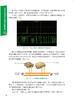 汽车总线系统原理与故障检修 商品缩略图9