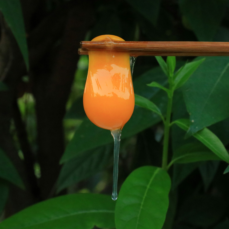 【限量供应】新鲜土鸡蛋 吃水果粮食虫子放养跑山鸡下的蛋30枚