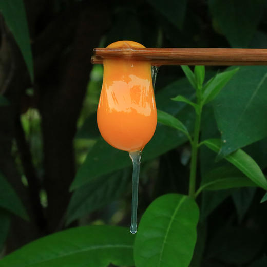 【限量供应】新鲜土鸡蛋 吃水果粮食虫子放养跑山鸡下的蛋30枚 商品图0