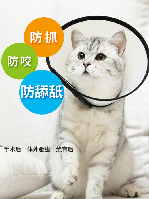 金多乐伊丽莎白圈 商品图5