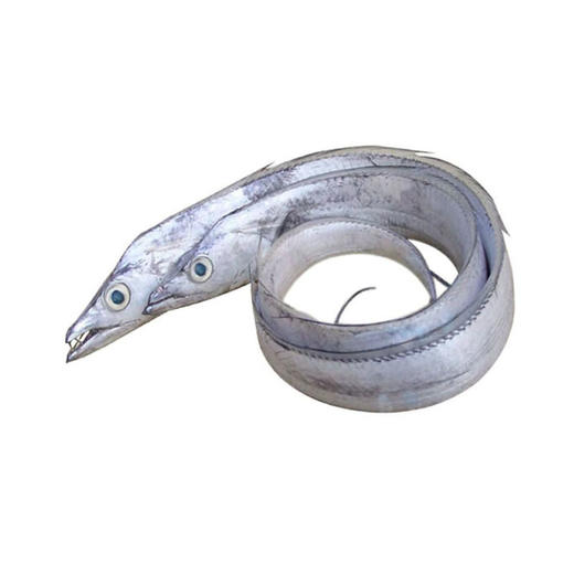 鲜带鱼（1斤约1条） 商品图1