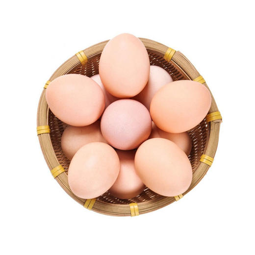 无抗鸡蛋 商品图0