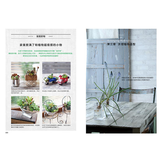 瓶瓶罐罐里的植物小世界 高桥洋子 著  ins风 植物家居 小清新 装修装饰 收纳 家居装饰艺术 中信出版 商品图4
