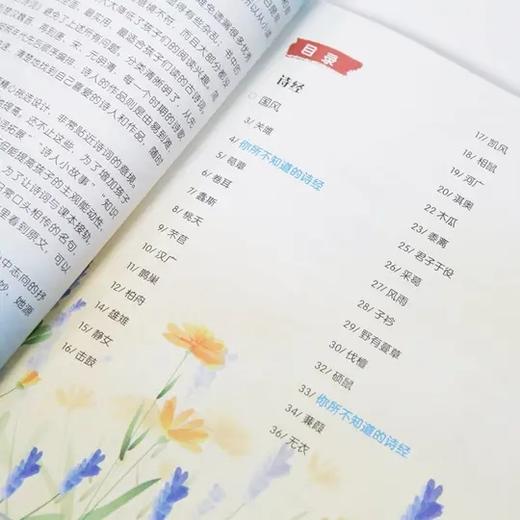 现货  给孩子读的中国古诗词 （全五册）400余首古诗词  小学生课外阅读古诗词大全 商品图7