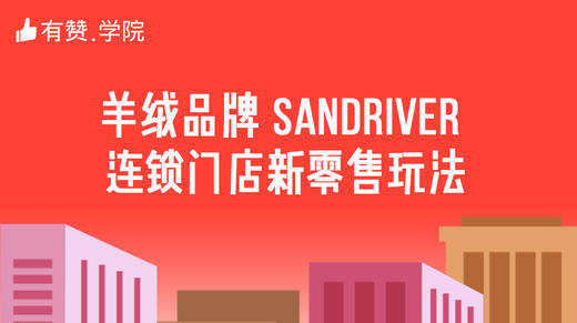 三、羊绒品牌 Sandriver 连锁门店新零售玩法 商品图0