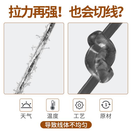 快乐垂钓中西初蚕主子线钓线鱼线 商品图1