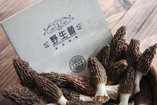 【春日一口鲜】云南高原的鲜羊肚菌 商品图5