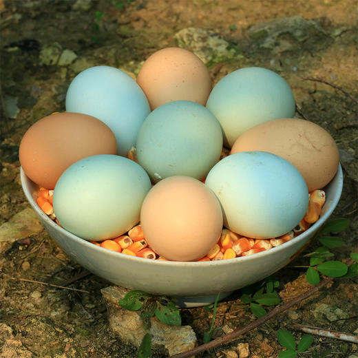 【限量供应】新鲜土鸡蛋 吃水果粮食虫子放养跑山鸡下的蛋30枚 商品图2