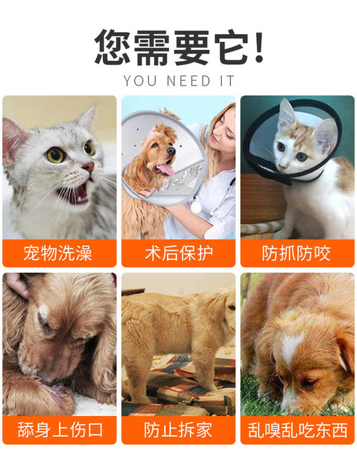 金多乐伊丽莎白圈 商品图3