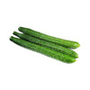 黄瓜 商品缩略图1