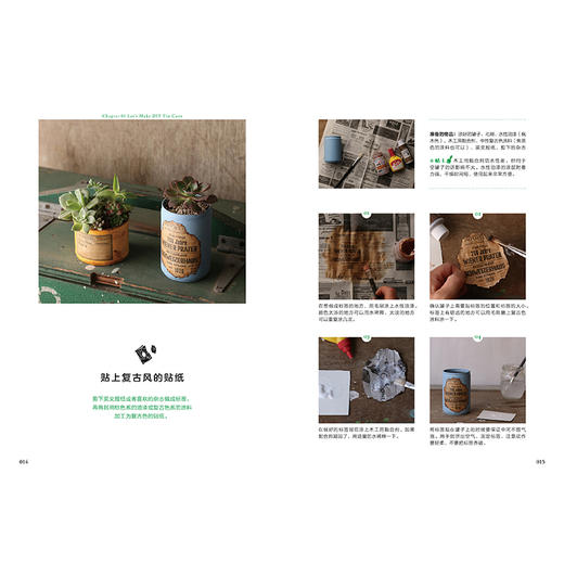 瓶瓶罐罐里的植物小世界 高桥洋子 著  ins风 植物家居 小清新 装修装饰 收纳 家居装饰艺术 中信出版 商品图3