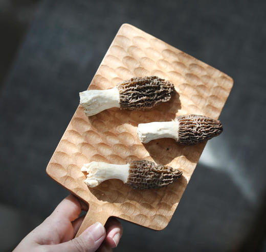 【春日一口鲜】云南高原的鲜羊肚菌 商品图1