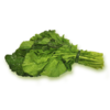 青菜 商品缩略图1