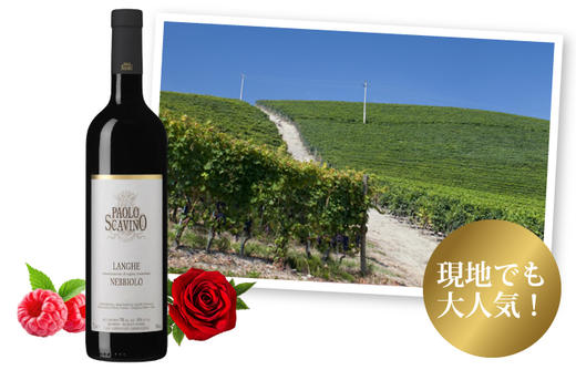 宝维诺酒庄朗格内比奥罗红葡萄酒PAOLO SCAVINO LANGHE NEBBIOLO 750ml 商品图1