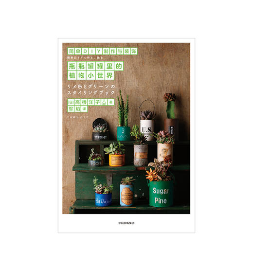 瓶瓶罐罐里的植物小世界 高桥洋子 著  ins风 植物家居 小清新 装修装饰 收纳 家居装饰艺术 中信出版 商品图0