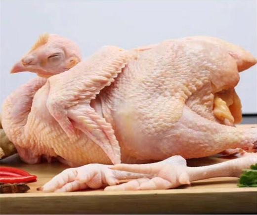 【快递】清远麻鸡（宰后约2斤） 清远农户现宰现发 商品图0