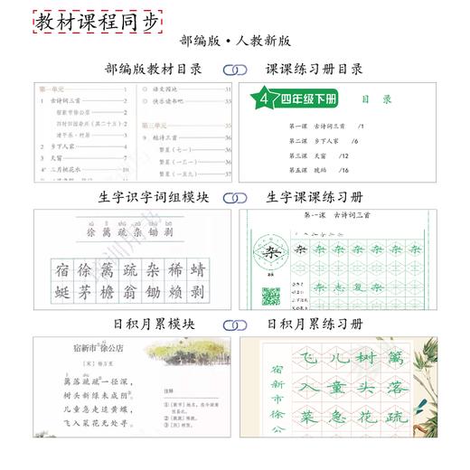 小学生 1 - 6 年级(下册) 课课练套装-LT 商品图5
