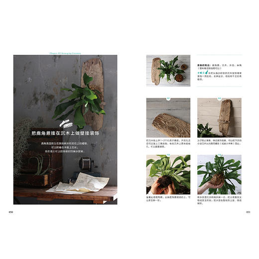 瓶瓶罐罐里的植物小世界 高桥洋子 著  ins风 植物家居 小清新 装修装饰 收纳 家居装饰艺术 中信出版 商品图2