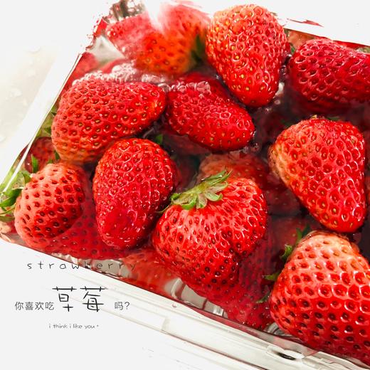 久久草莓500g 商品图0