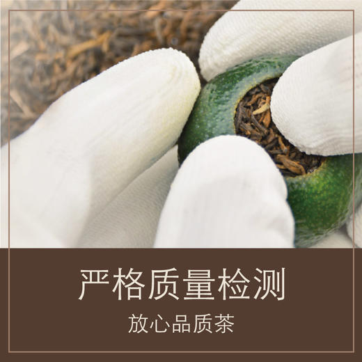 茶叶 小青柑 新会小青柑 宫廷普洱 柑普茶 修哲 茶饮  250g 商品图4