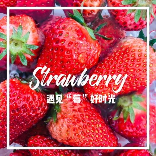 久久草莓500g 商品图1