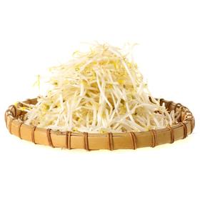 豆芽约500g