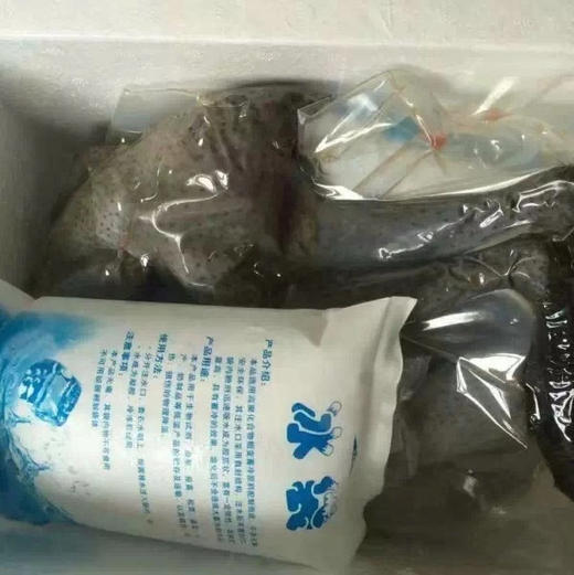 临泉县林下散养乌鸡现杀乌鸡活鸡4斤左右 商品图4