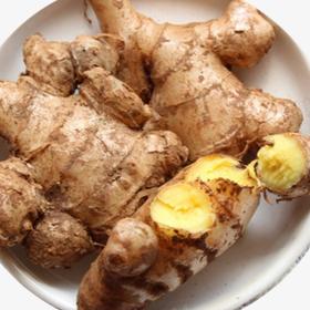 生姜 约500g